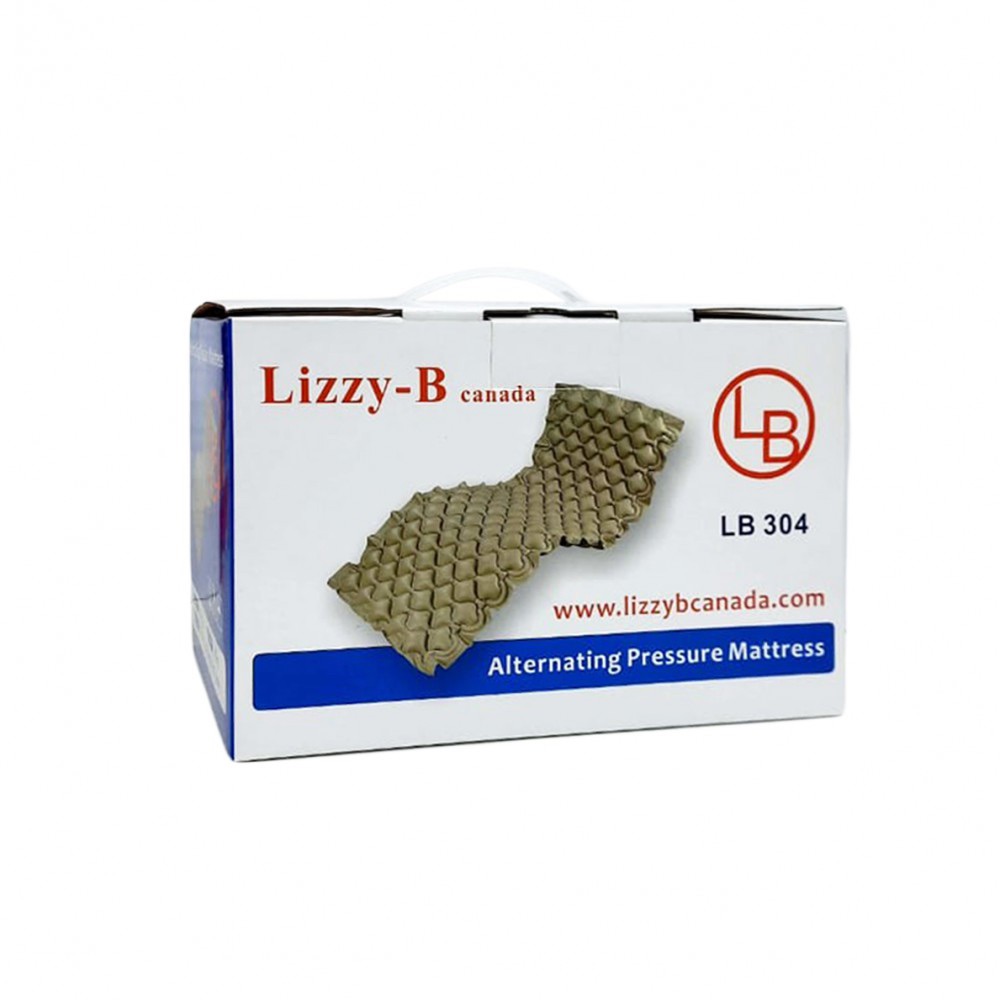 Lizzy B Air mattress